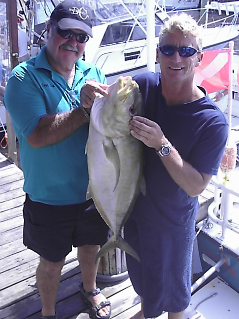 Large yellow Jack