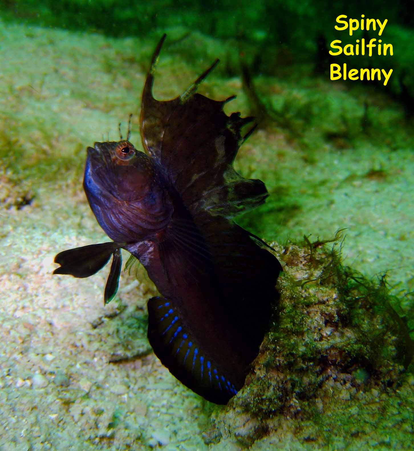 Las Burbujas, Mochima National Park, Venezuela