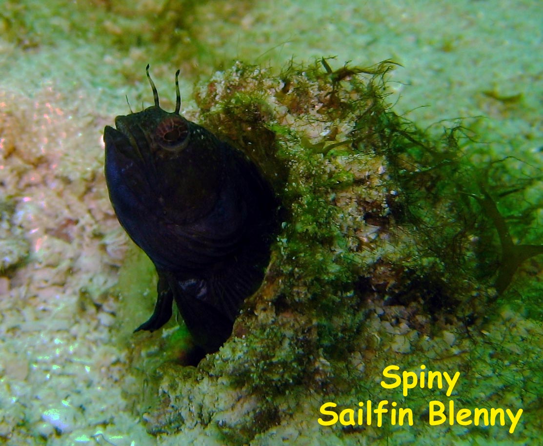 Las Burbujas, Mochima National Park, Venezuela