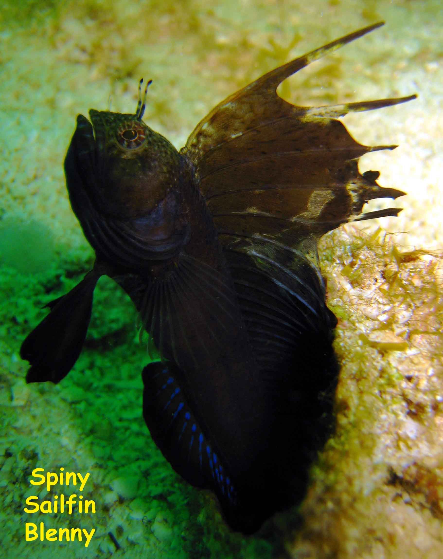 Las Burbujas, Mochima National Park, Venezuela