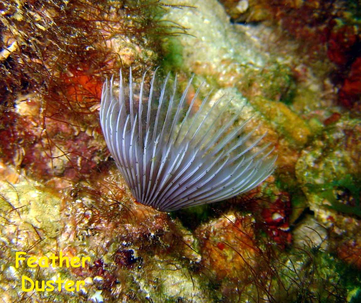 Las Burbujas, Mochima National Park, Venezuela