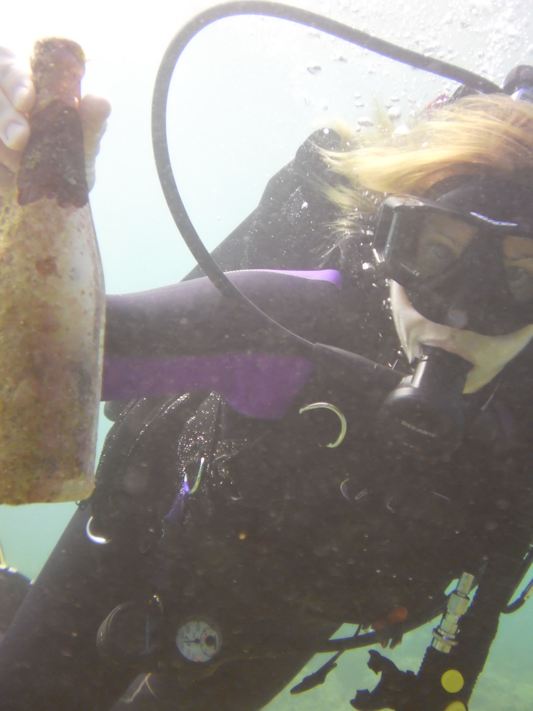 Lauderdale By The Sea Shore diving