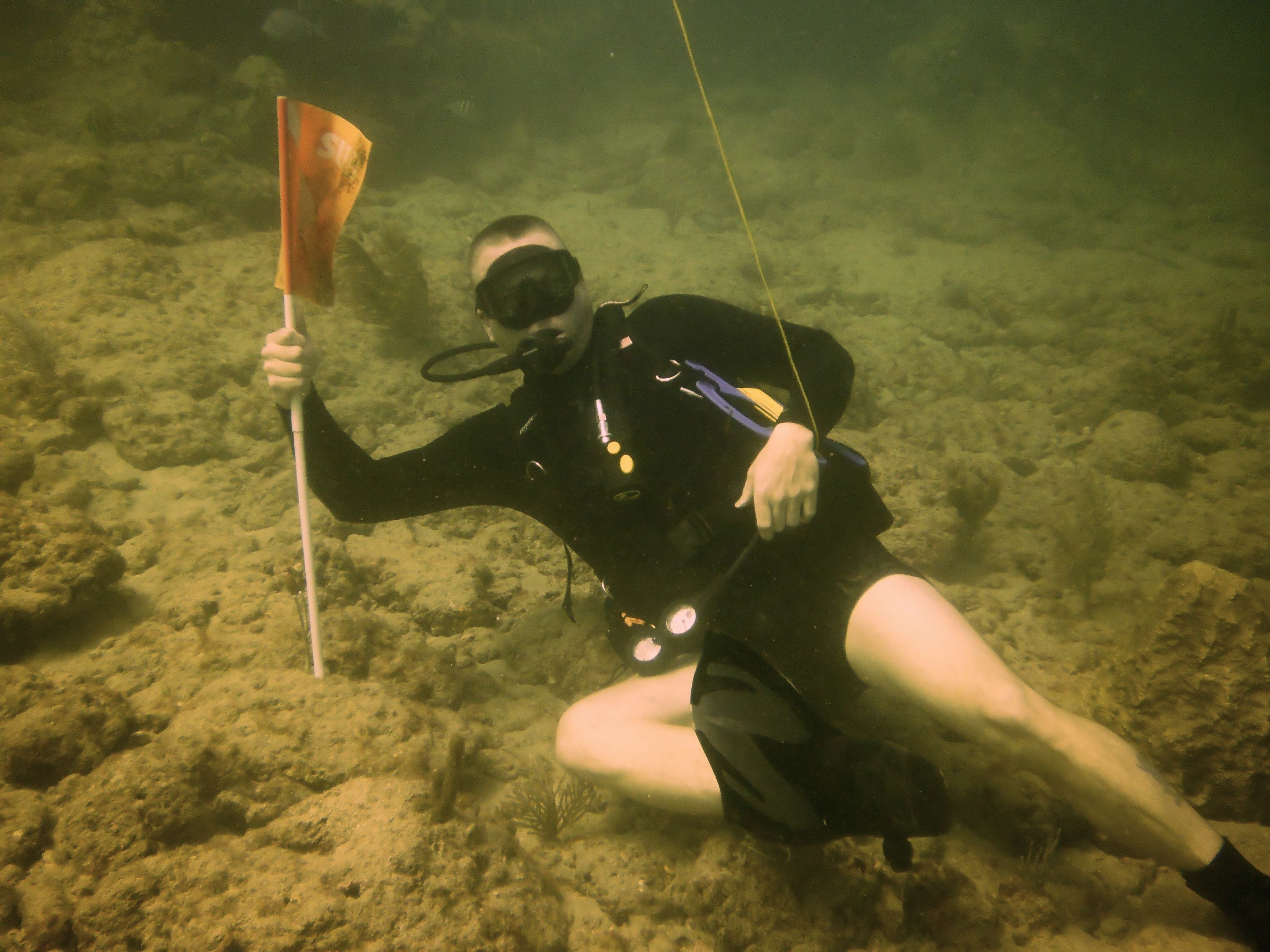 Lauderdale By The Sea Shore diving