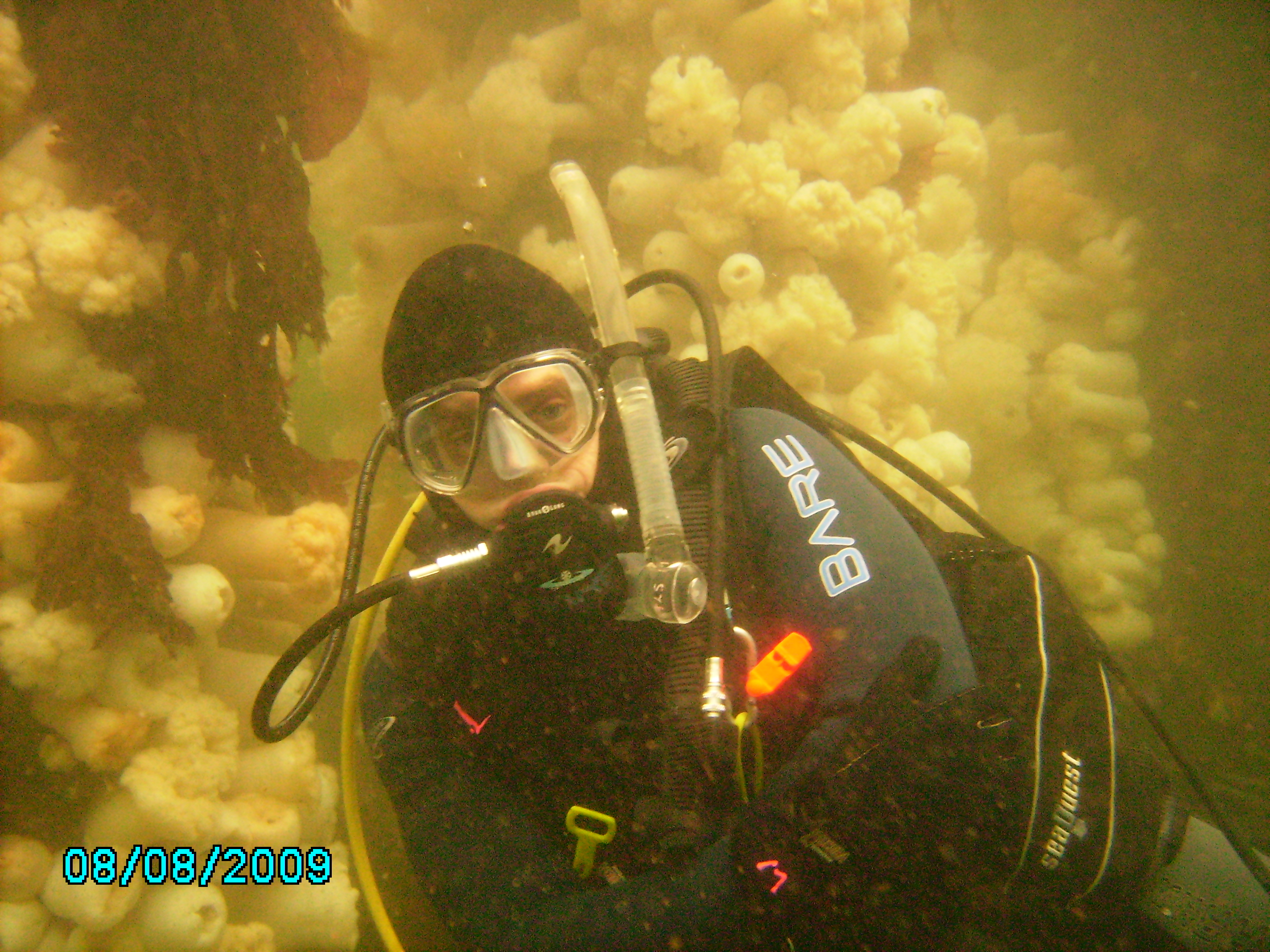 Les Davis Pier (sunken pier)