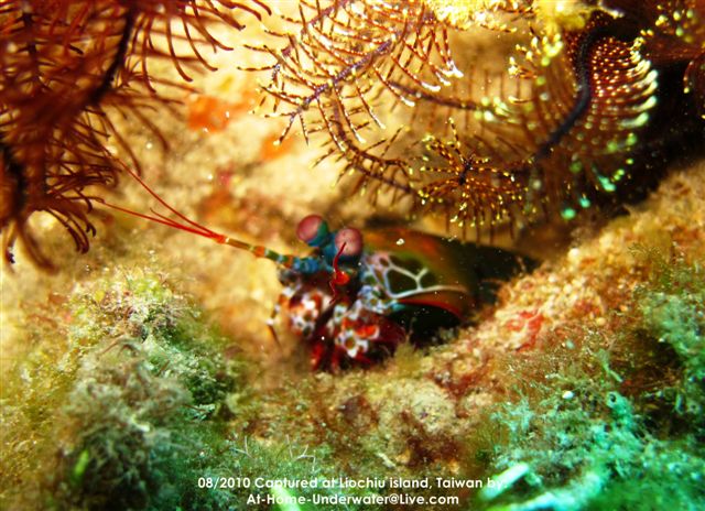 Liochiu Island - without a strobe !