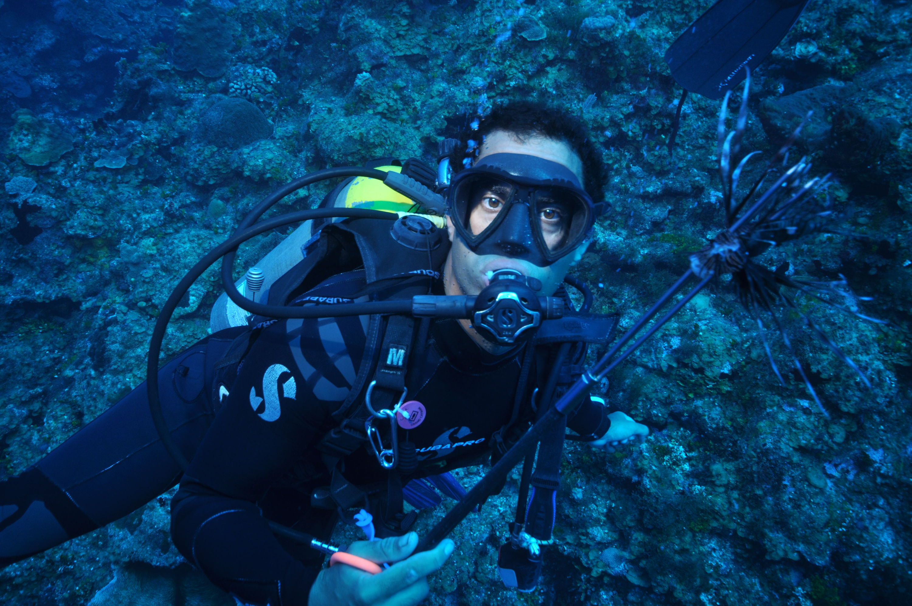 lion fish  at Dragon's hole