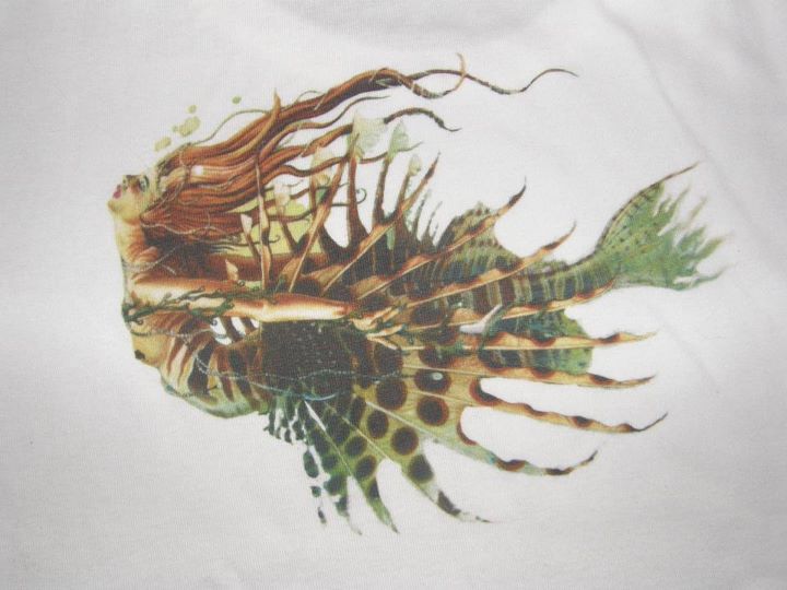 Lion fish mermaid