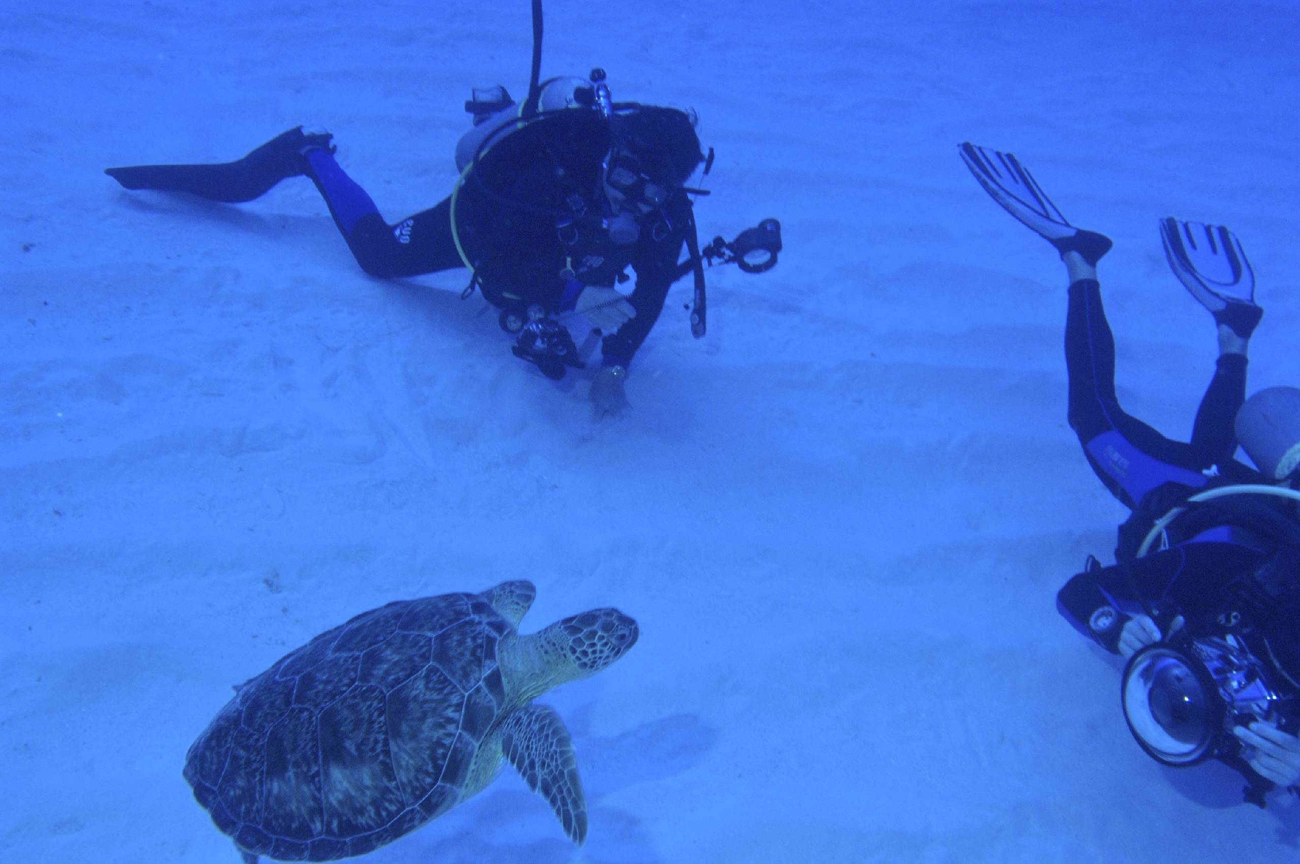 Little Cayman  3/3/07 - 3/10/07