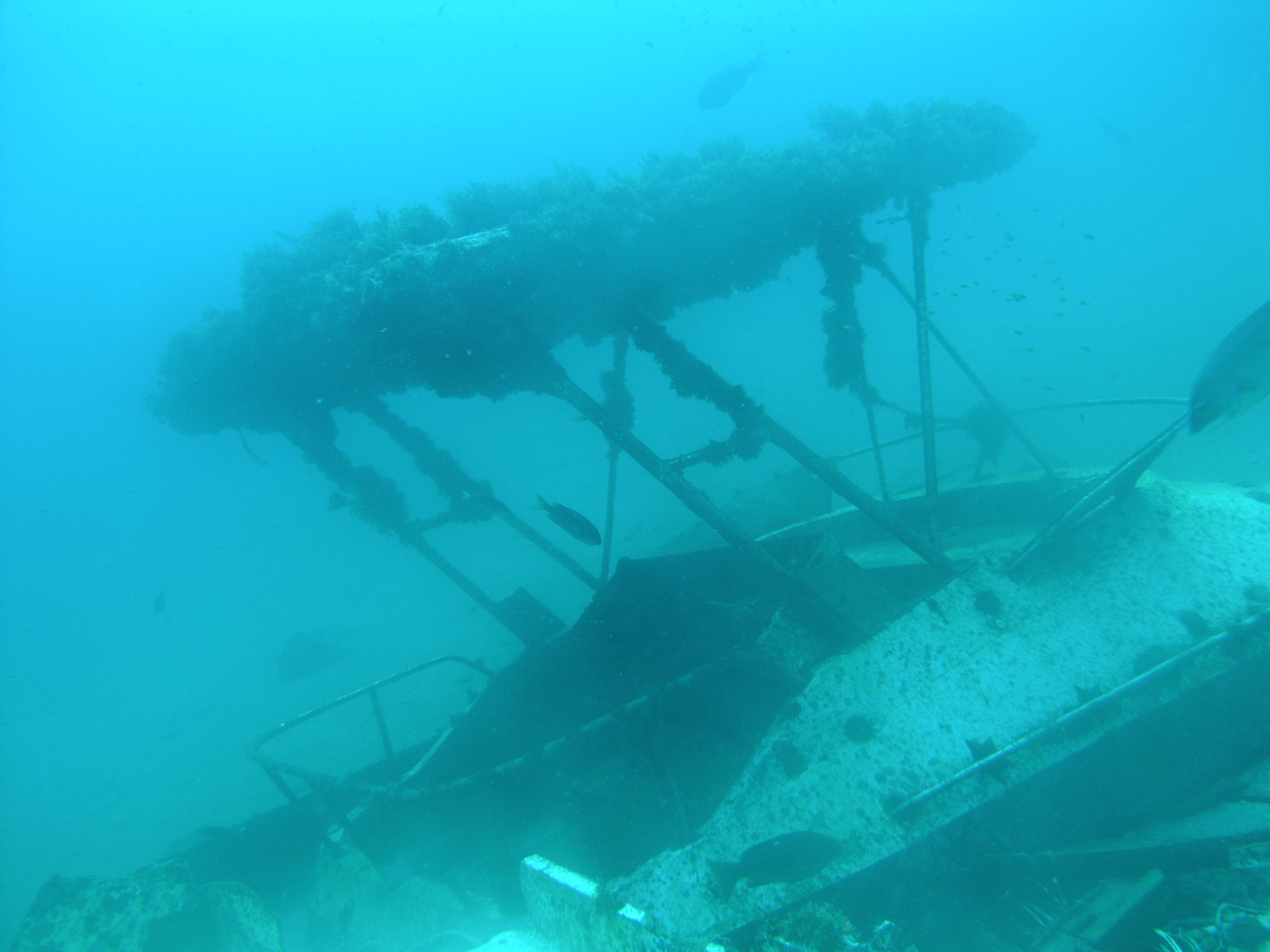 Lobster Shack wreck@ Coronados