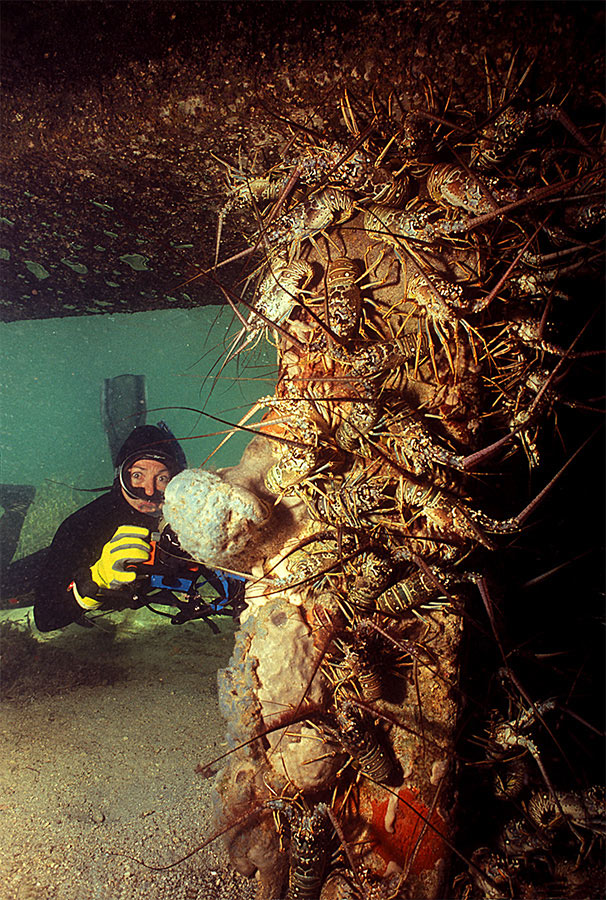 Lobster Shack