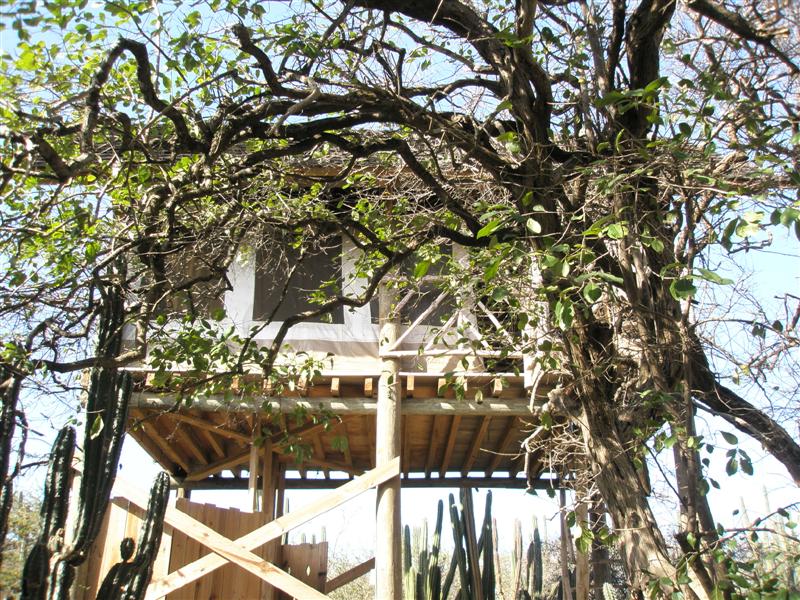 Lodge Kura Hulanda "Tree House"