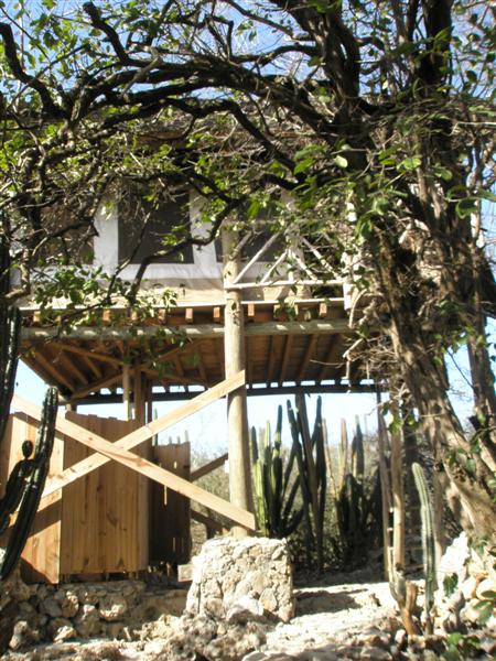 Lodge Kura Hulanda "Tree House"