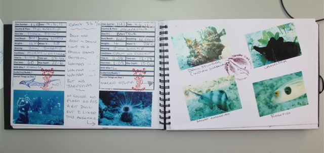 Log Book samples