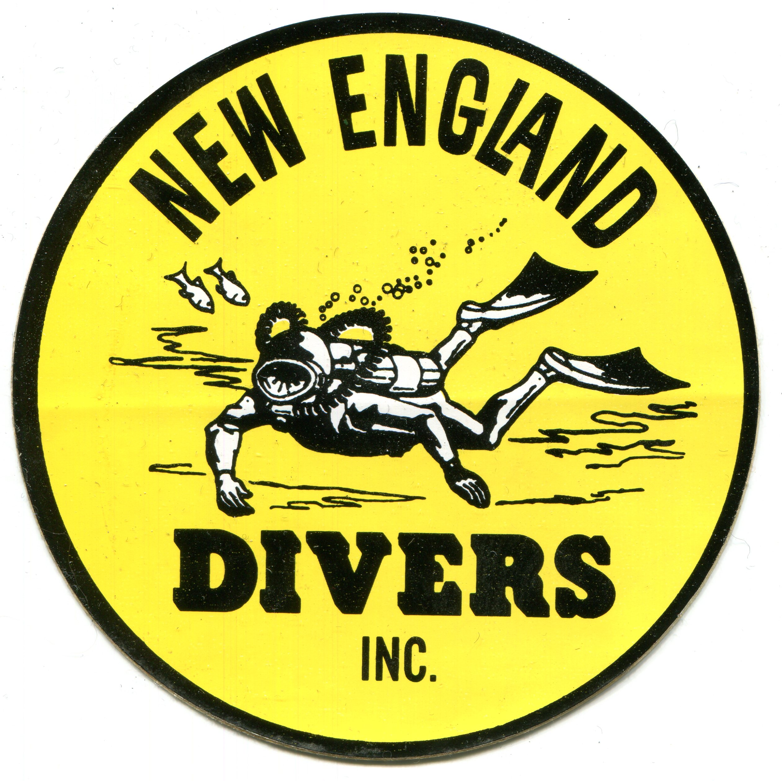 Logo-NEDivers