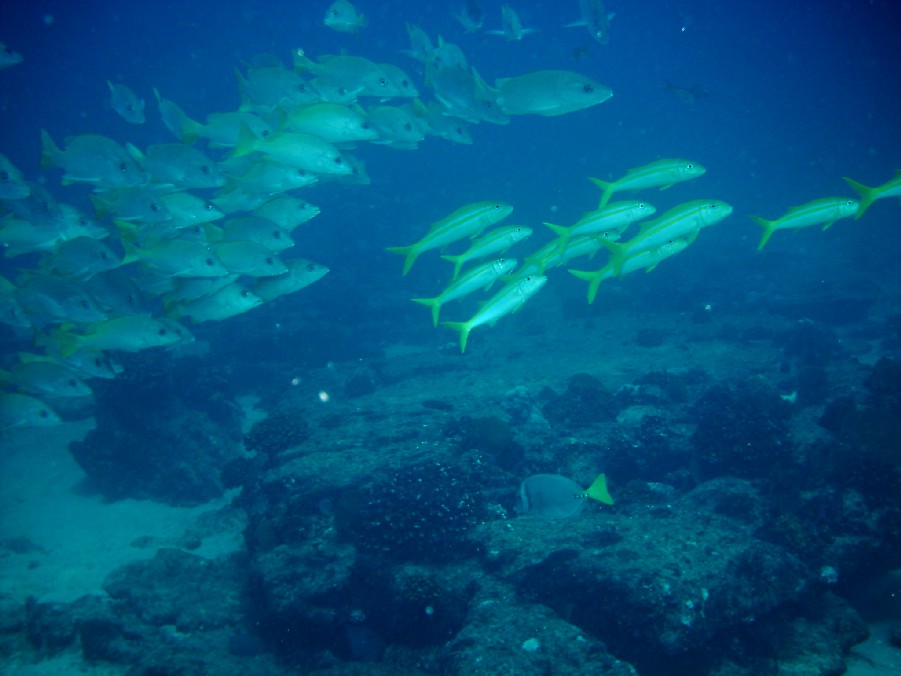 Los Cabos, Mexico