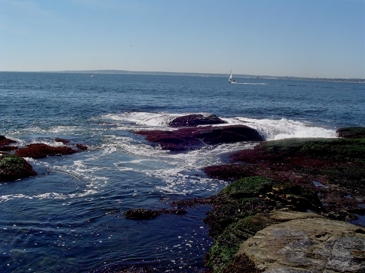 Low Tide at Beavertail