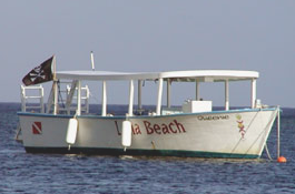 Luna Beach Resort Dive Boats, Roatan