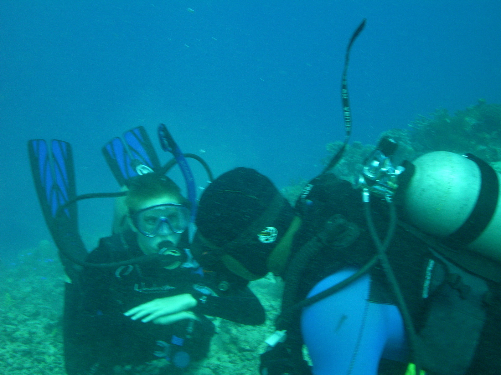 M0010798_p1