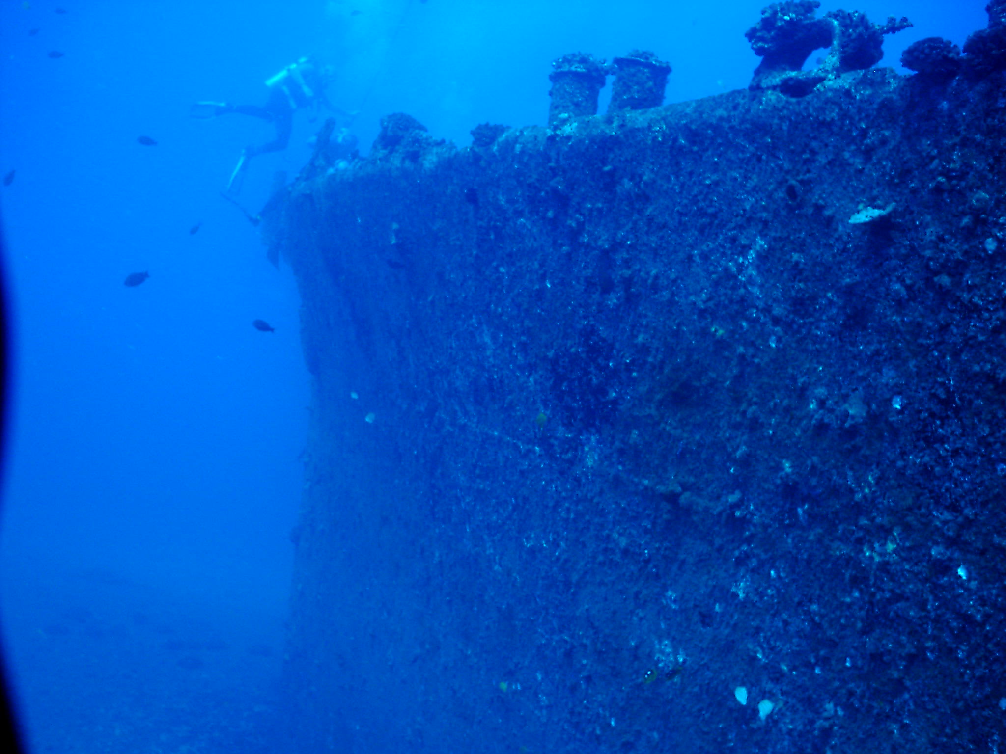 Mahi Wreck