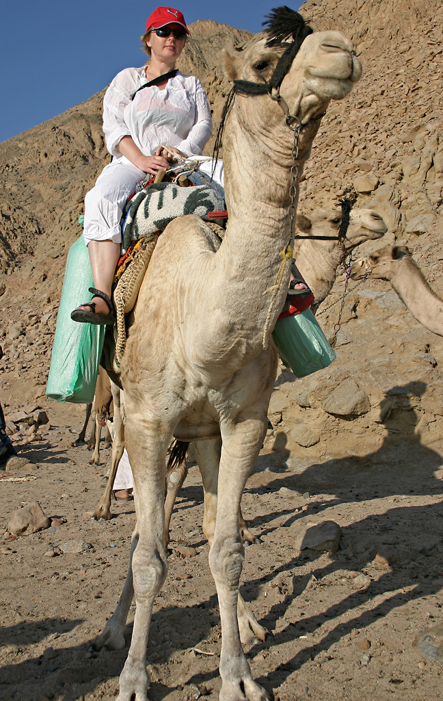 Maja - going diving to Ras Abu Galum