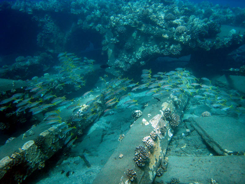 Mala pier wreck dive