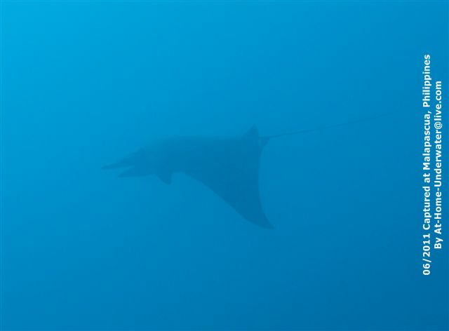 Malapascua June 2011