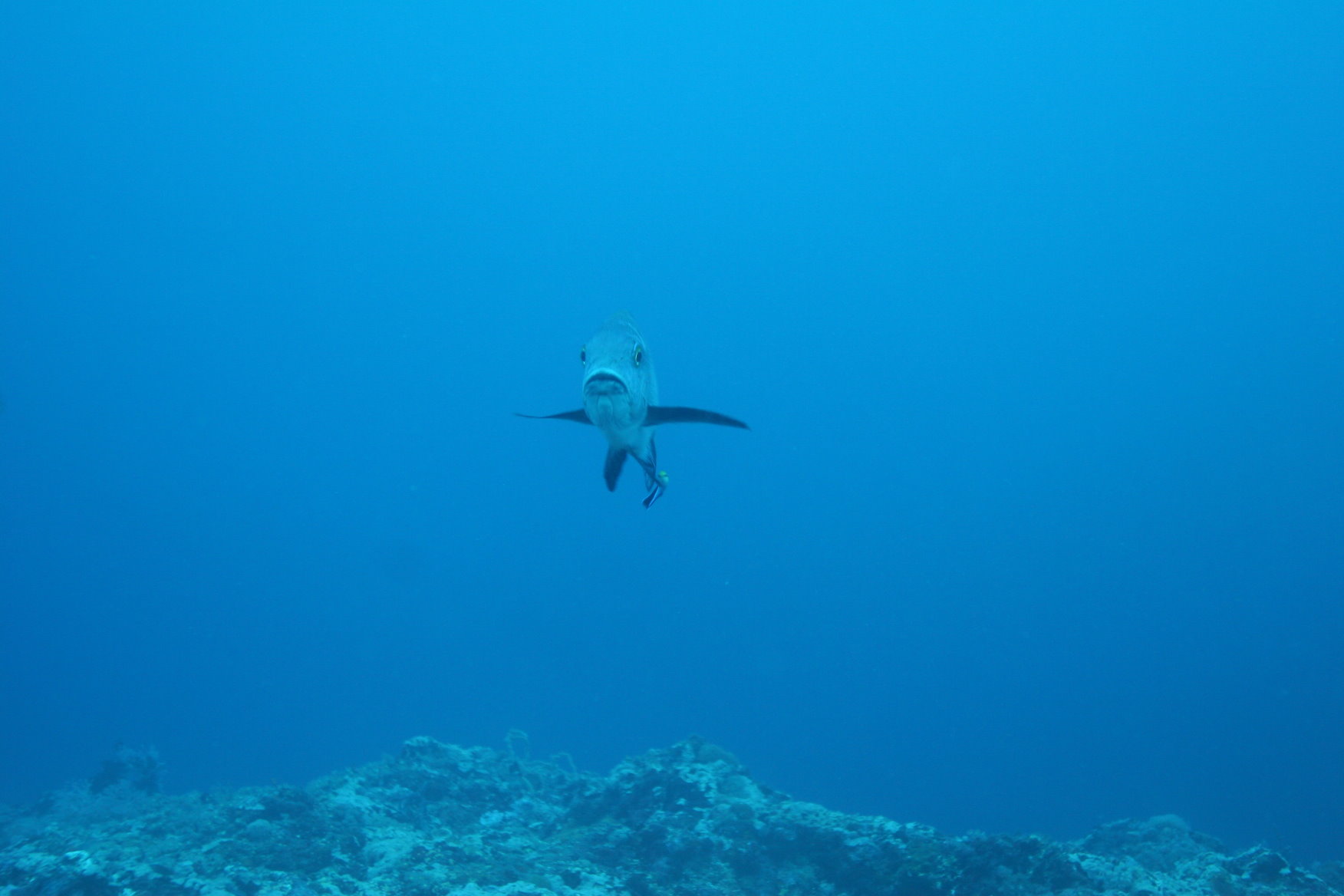 Malapascua - Philippines