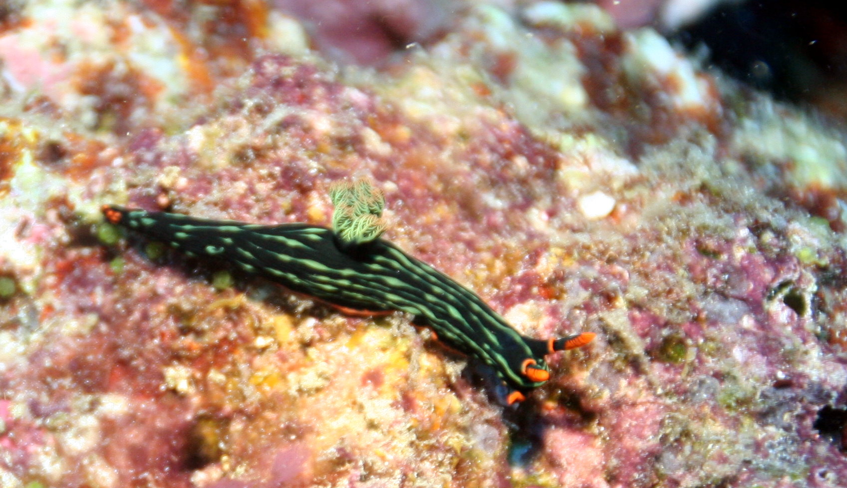 Malapascua Philippines