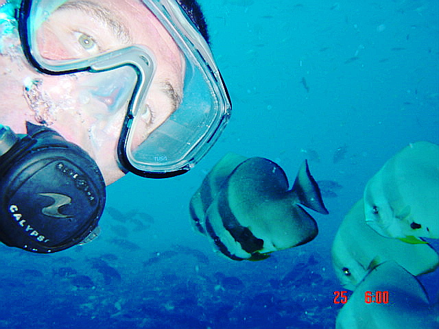 Maldives_Diving_17_09_07_094