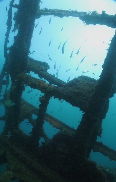 Malta with Anchor Diving 2012