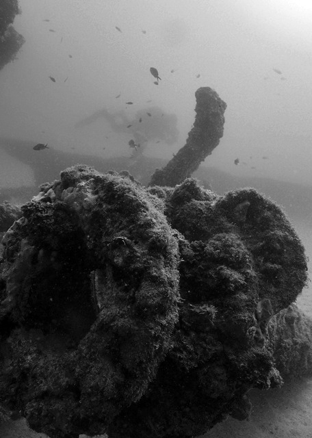 Malta with Anchor Diving 2012