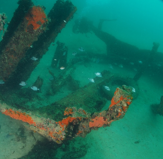 Malta with Anchor Diving 2012