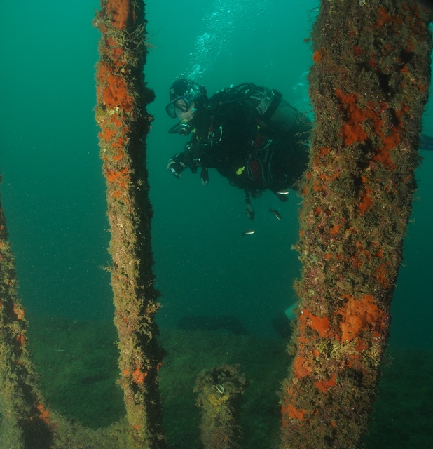 Malta with Anchor Diving 2012