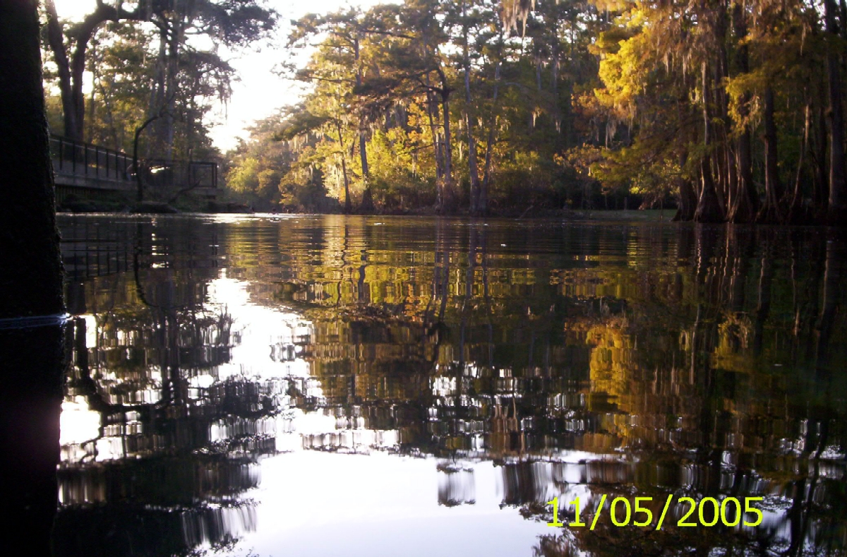 Manatee Springs 01