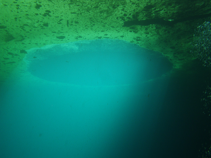 Manatee Springs - Catfish Hole - Chiefland Florida