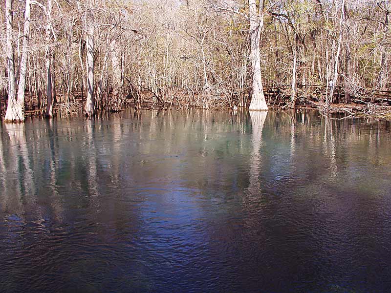 Manatee Springs - Main Spring - Chiefland Florida