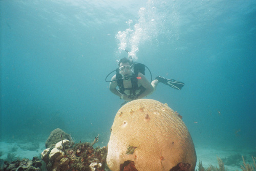 Manchones/Cancun