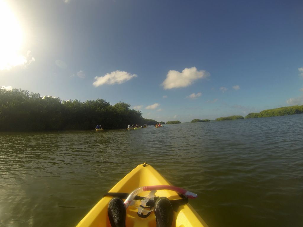 mangrove_kayak