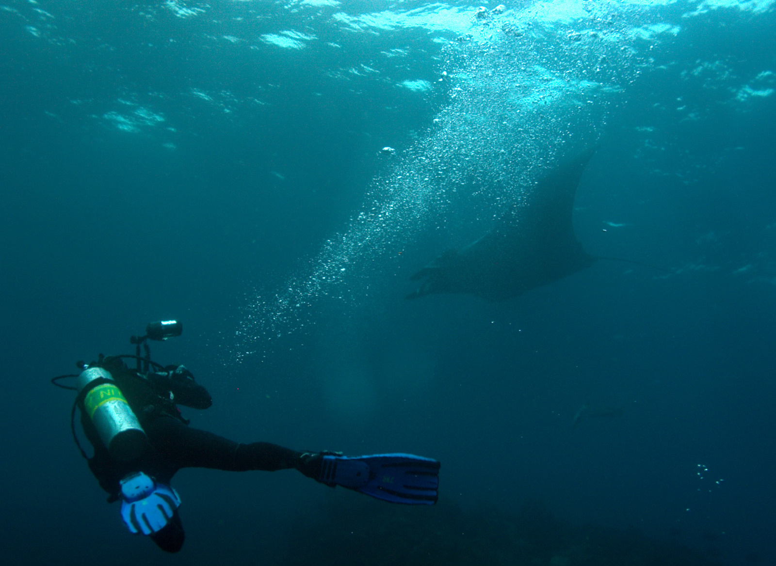 Manta Ray and Photographer