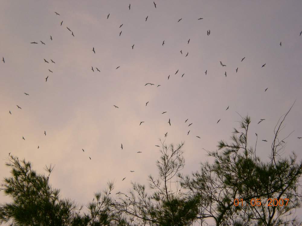 Mantanani Besar Island 2007