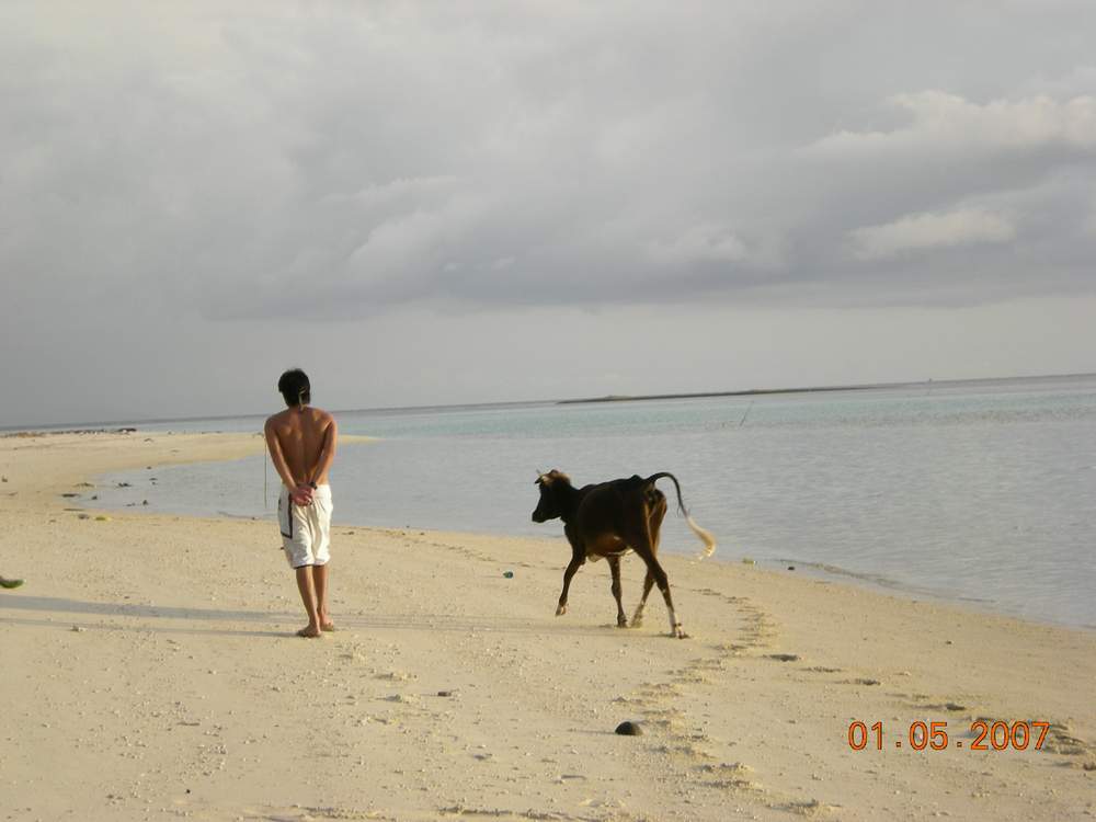 Mantanani Besar Island 2007