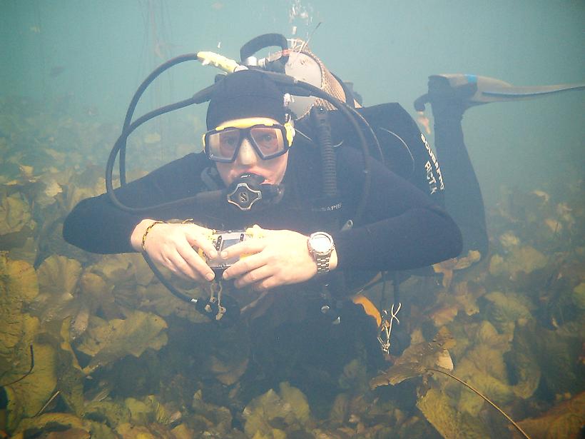 Marico oog diving