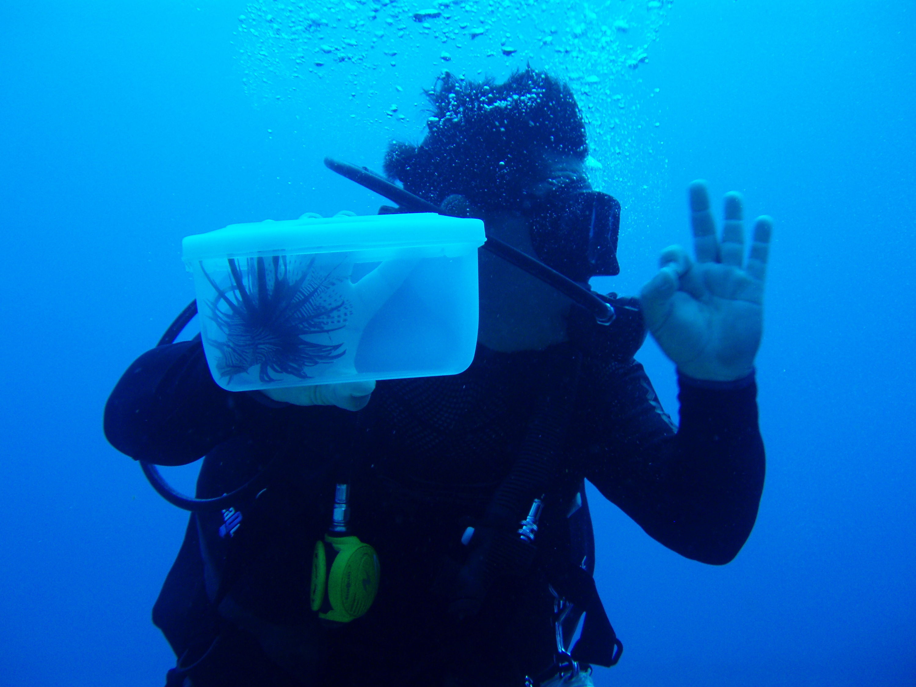 Mario and the lionfish