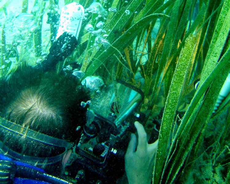 Martin getting a good shot of a Frog Fish