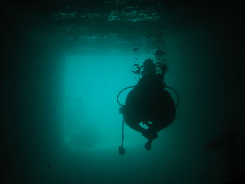 Martin under the bridge