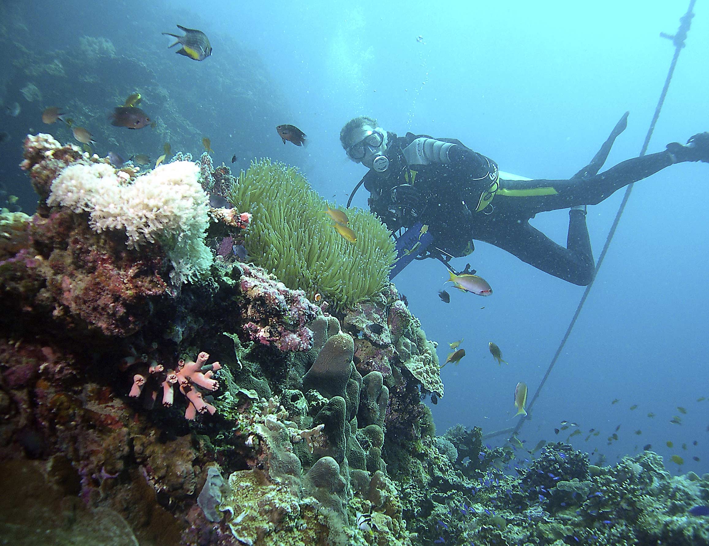 matthias-and-coral