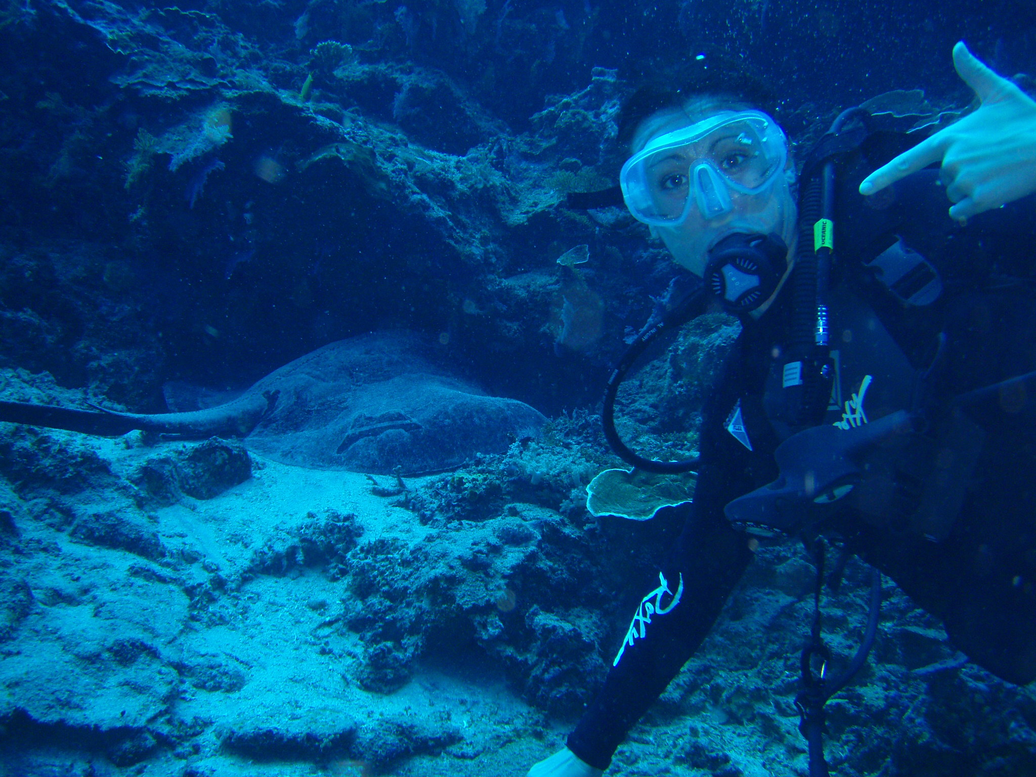 Me & a Stingray