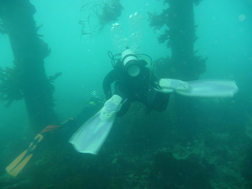 Me under Portsea Pier