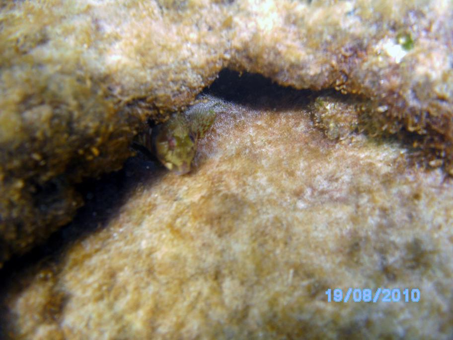 Mediteranean Sea, Israel