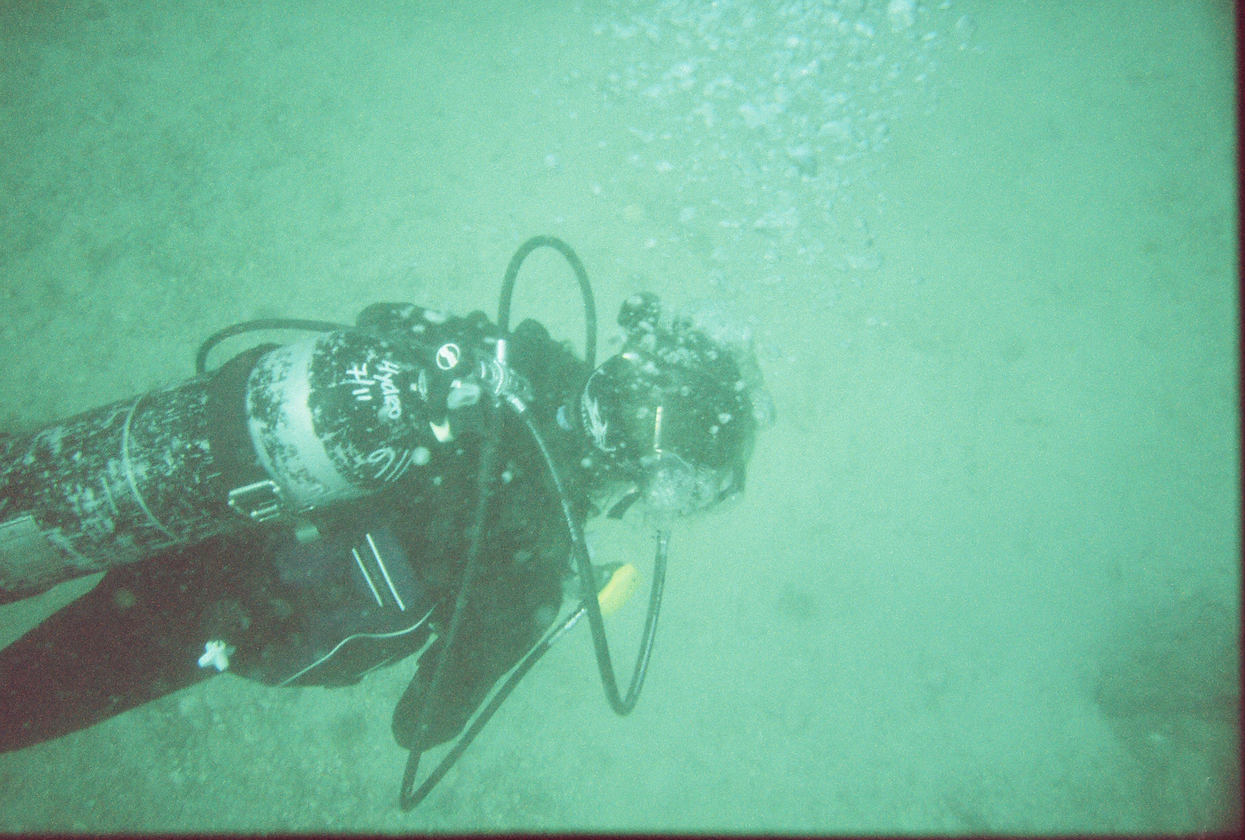 Melissa on Veteran's Reef